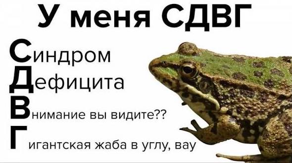 СДВГ, который мы создали сами - 1
