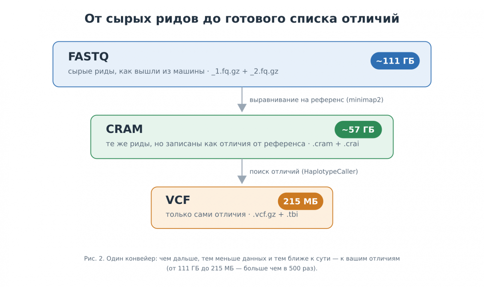 Схема конвейера: FASTQ 111 ГБ → CRAM 57 ГБ → VCF 215 МБ