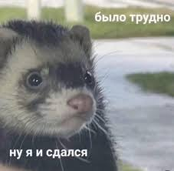 Локальные LLM в агентской разработке внутри компании: пользовательский опыт - 5 Локальные LLM в агентской разработке внутри компании: пользовательский опыт - 5