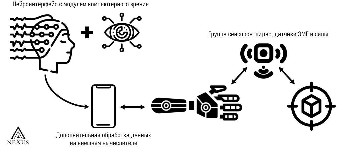 Схема демонстрирует путь сигнала от мышцы или нерва до движения пальца протеза по шагам Схема демонстрирует путь сигнала от мышцы или нерва до движения пальца протеза по шагам