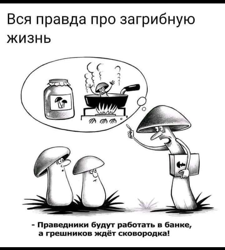 Спекулятивный материализм Мейясу против объективного идеализма Гегеля. Чей абсолют абсолютнее? - 21 Спекулятивный материализм Мейясу против объективного идеализма Гегеля. Чей абсолют абсолютнее? - 21