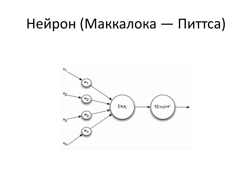 Neurons and weights