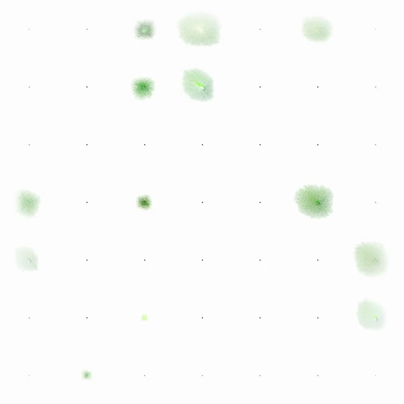 На разных этапах обучения клетки самостоятельно находят стратегии роста и формирования структуры.