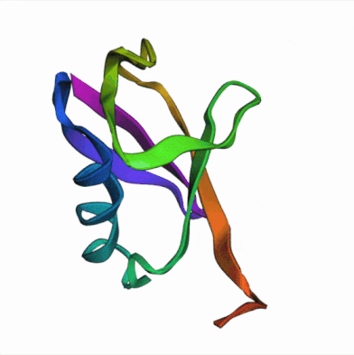 Конформационный ансамбль убиквитина, сгенерированный BioEmu