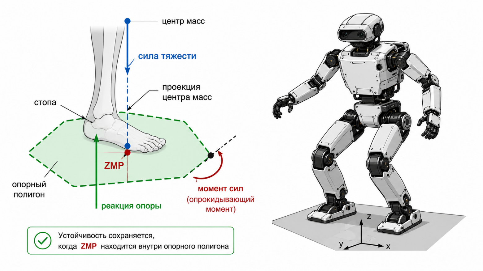 иллюстрация: схема ZMP — стопа, опорный полигон, проекция центра масс, момент сил; рядом характерная поза ZMP-робота с согнутыми коленями