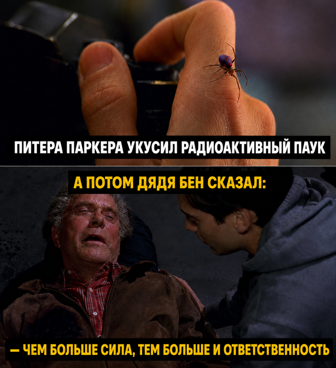 Когда решил объяснить всё с нуля