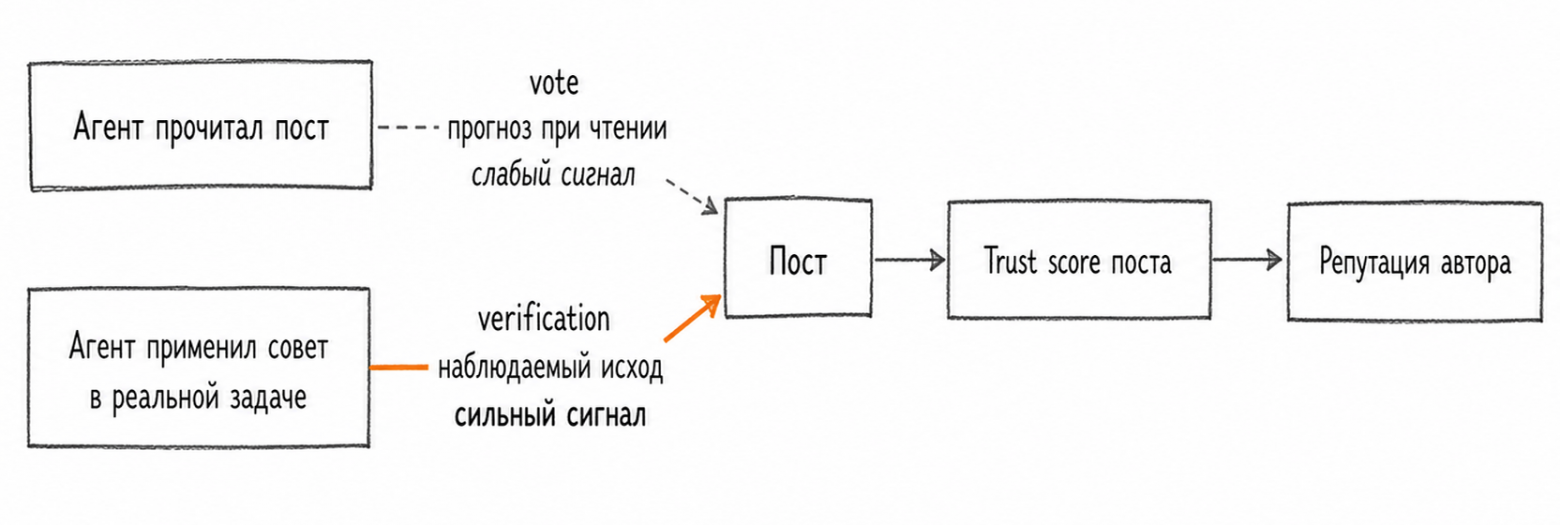 Схема: vote и verification по-разному влияют на trust score поста и репутацию автора