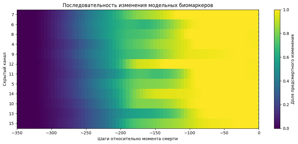 Последовательность изменения скрытых каналов перед гибелью. Каждый канал нормирован относительно собственного взрослого и предсмертного состояния.