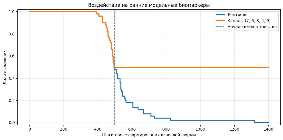 После начала воздействия дальнейшая гибель оставшихся ящерок остановилась. В контрольной группе к концу симуляции погибли все особи.