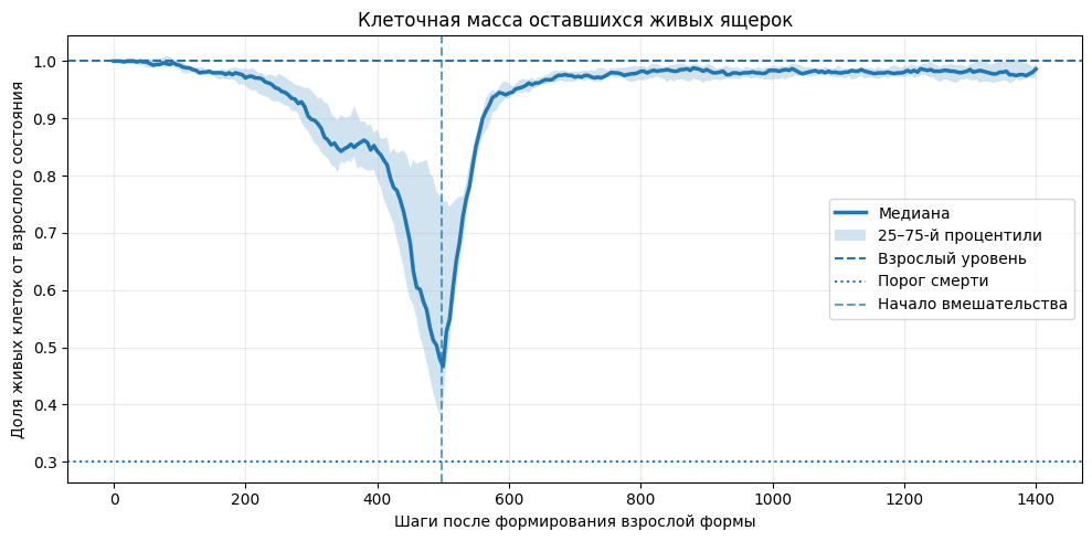 После вмешательства клеточная масса оставшихся ящерок вернулась почти к взрослому уровню и сохранялась до конца наблюдения.