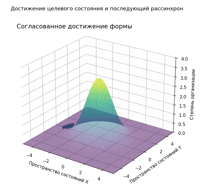 Условное представление квазипрограммы. Во время формирования организма локальные процессы согласованно ведут систему к целевому состоянию. После достижения цели те же процессы продолжают работать, постепенно рассинхронизируются и уводят систему в разные стороны.