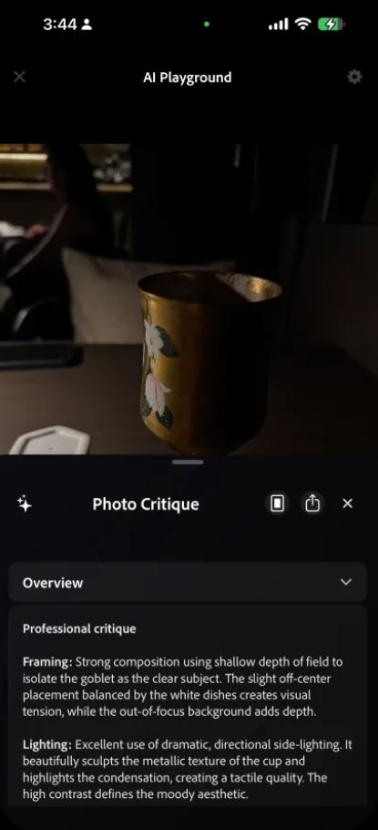 Функция приложения камеры от Adobe позволит анализировать фотографии с помощью ИИ - 2