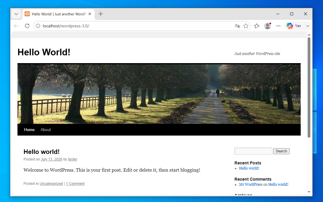 Линейки версий WordPress под микроскопом - 12