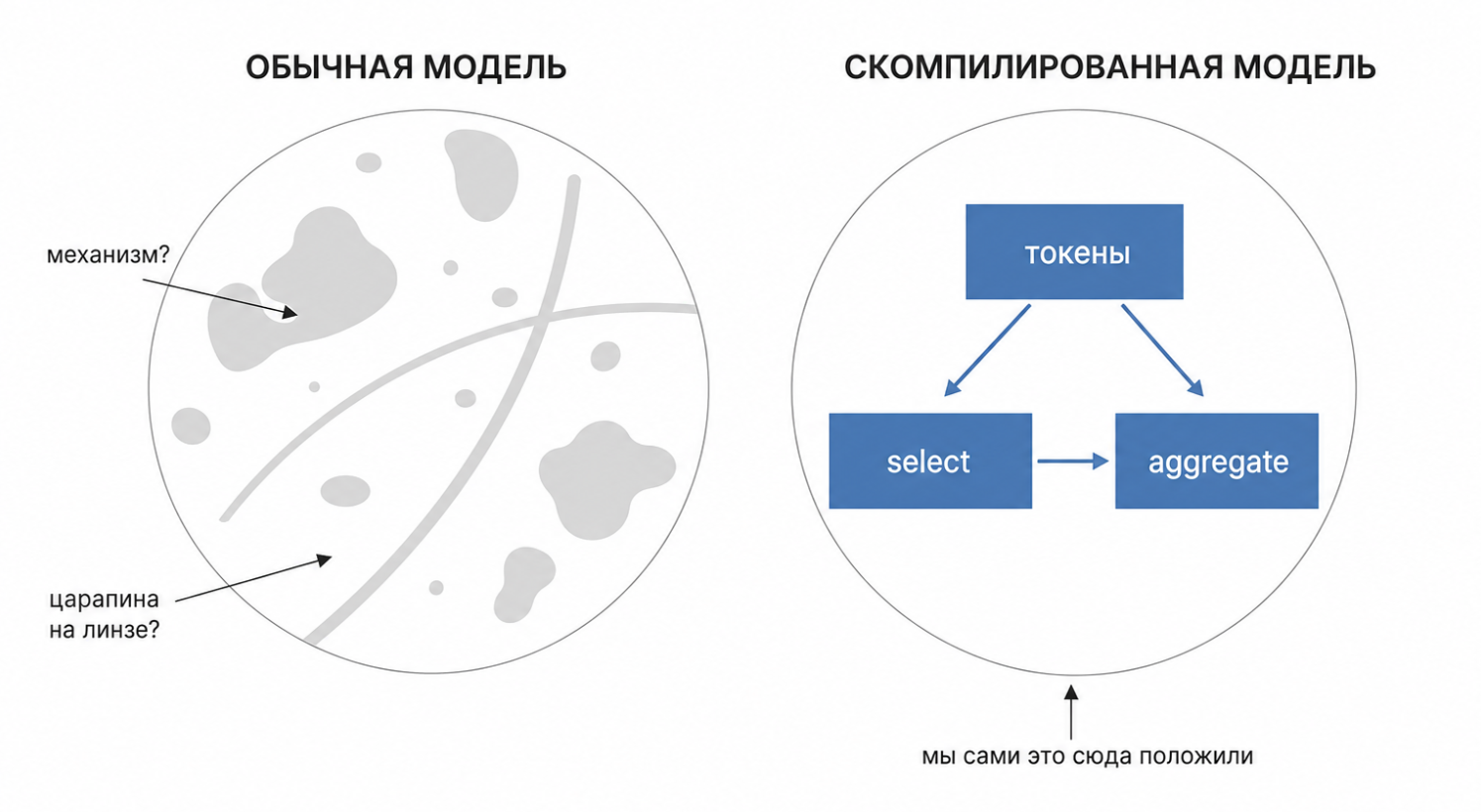 Микроскоп проверяют на препарате, о котором многое известно заранее.