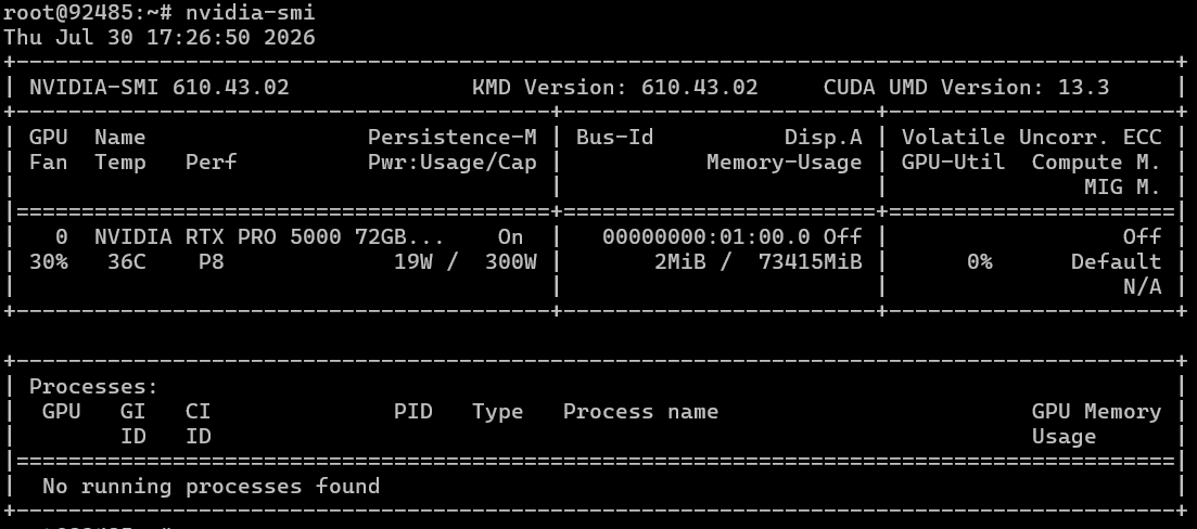 NVIDIA RTX PRO 5000 Blackwell с 72 Гб видеопамяти. Есть ли смысл переплачивать за «половинку» флагмана? - 2 NVIDIA RTX PRO 5000 Blackwell с 72 Гб видеопамяти. Есть ли смысл переплачивать за «половинку» флагмана? - 2