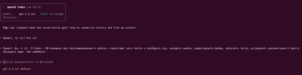 Как собрать AI-контур на VPS: подписки ChatGPT и Claude, OmniRoute, LiteLLM и разработка без VPN - 17 Как собрать AI-контур на VPS: подписки ChatGPT и Claude, OmniRoute, LiteLLM и разработка без VPN - 17