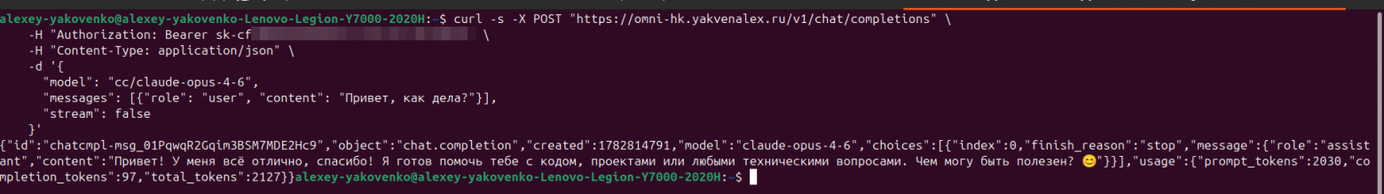Как собрать AI-контур на VPS: подписки ChatGPT и Claude, OmniRoute, LiteLLM и разработка без VPN - 48 Как собрать AI-контур на VPS: подписки ChatGPT и Claude, OmniRoute, LiteLLM и разработка без VPN - 48
