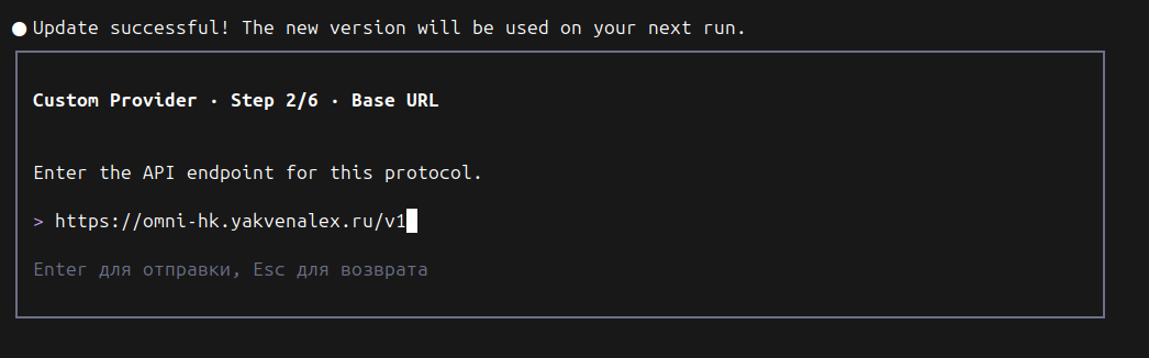 Как собрать AI-контур на VPS: подписки ChatGPT и Claude, OmniRoute, LiteLLM и разработка без VPN - 51 Как собрать AI-контур на VPS: подписки ChatGPT и Claude, OmniRoute, LiteLLM и разработка без VPN - 51
