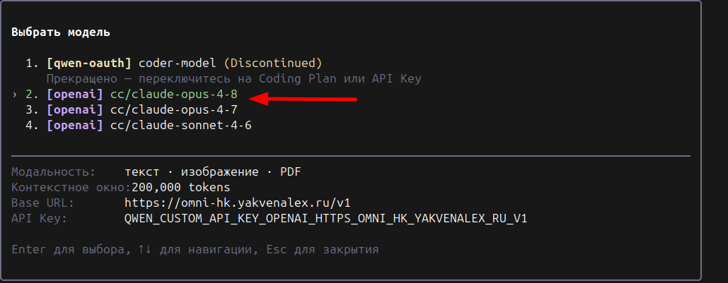 Как собрать AI-контур на VPS: подписки ChatGPT и Claude, OmniRoute, LiteLLM и разработка без VPN - 54 Как собрать AI-контур на VPS: подписки ChatGPT и Claude, OmniRoute, LiteLLM и разработка без VPN - 54