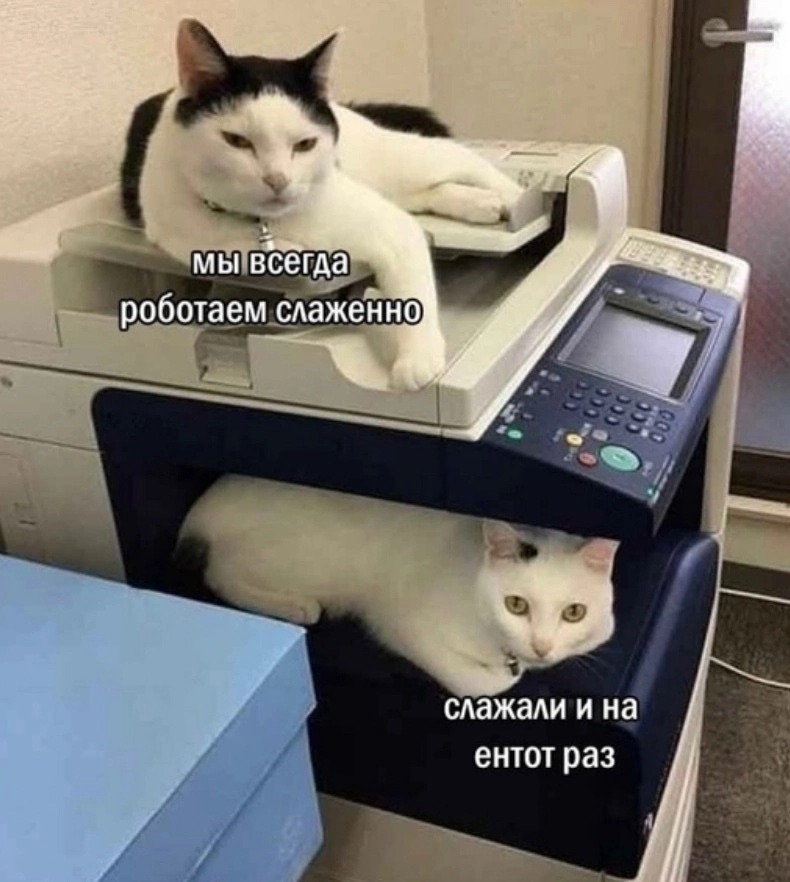 Как защитить права на программное обеспечение: пошаговый гайд для правообладателя - 2