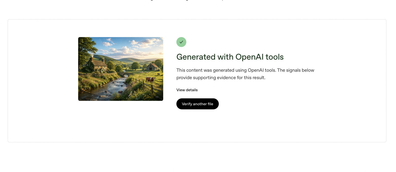 проверка изображения в Verify OpenAI-generated content