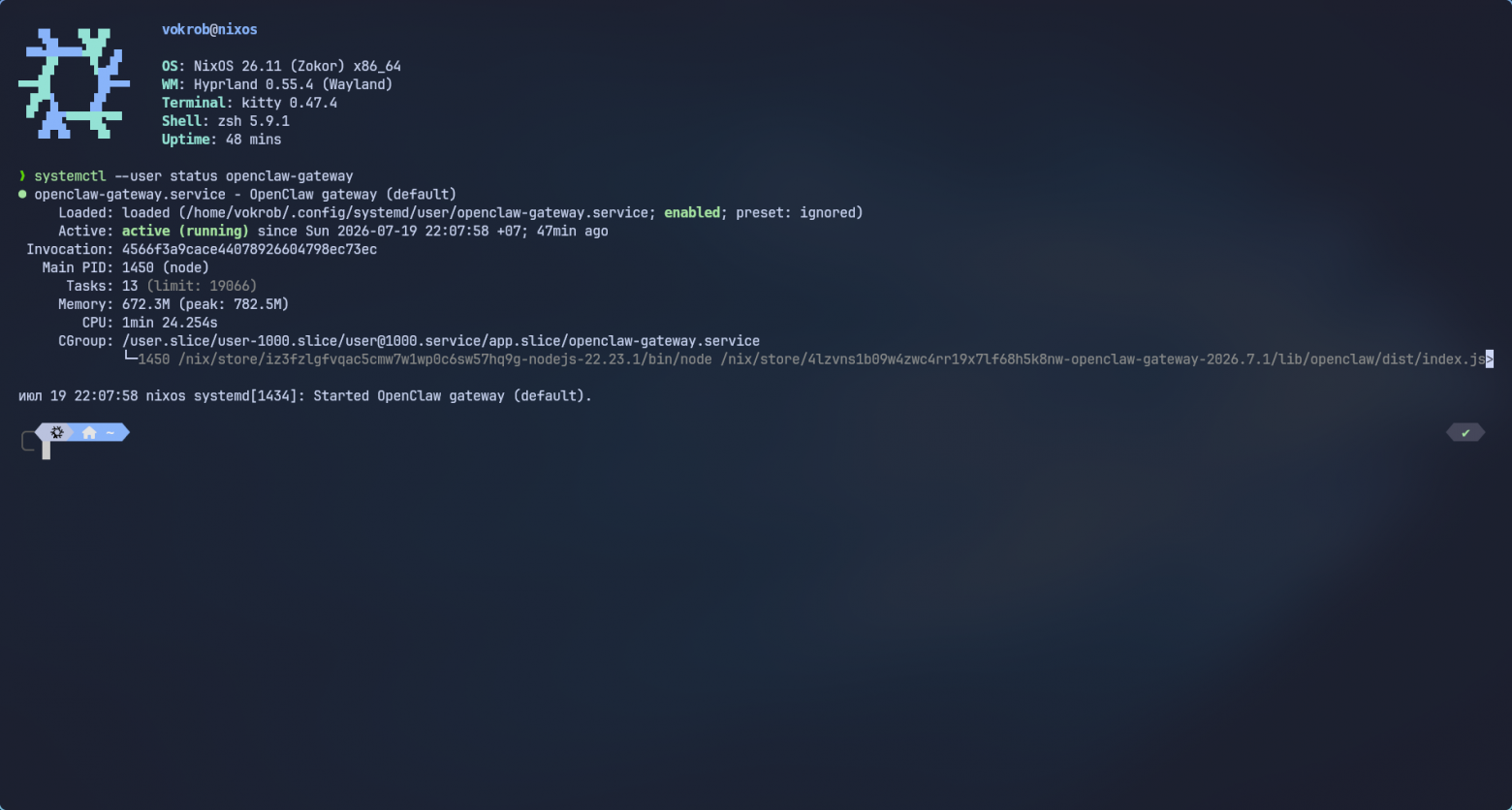 Как я перешёл на NixOS и настроил там OpenClaw - 2 Как я перешёл на NixOS и настроил там OpenClaw - 2