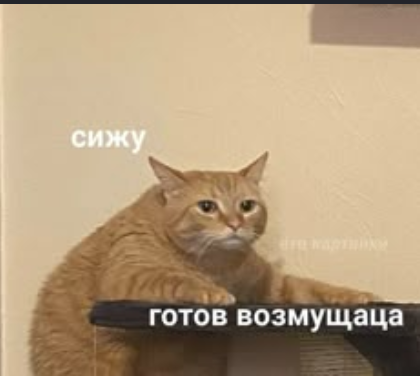 Каждый участник совета готов отстаивать свою версию