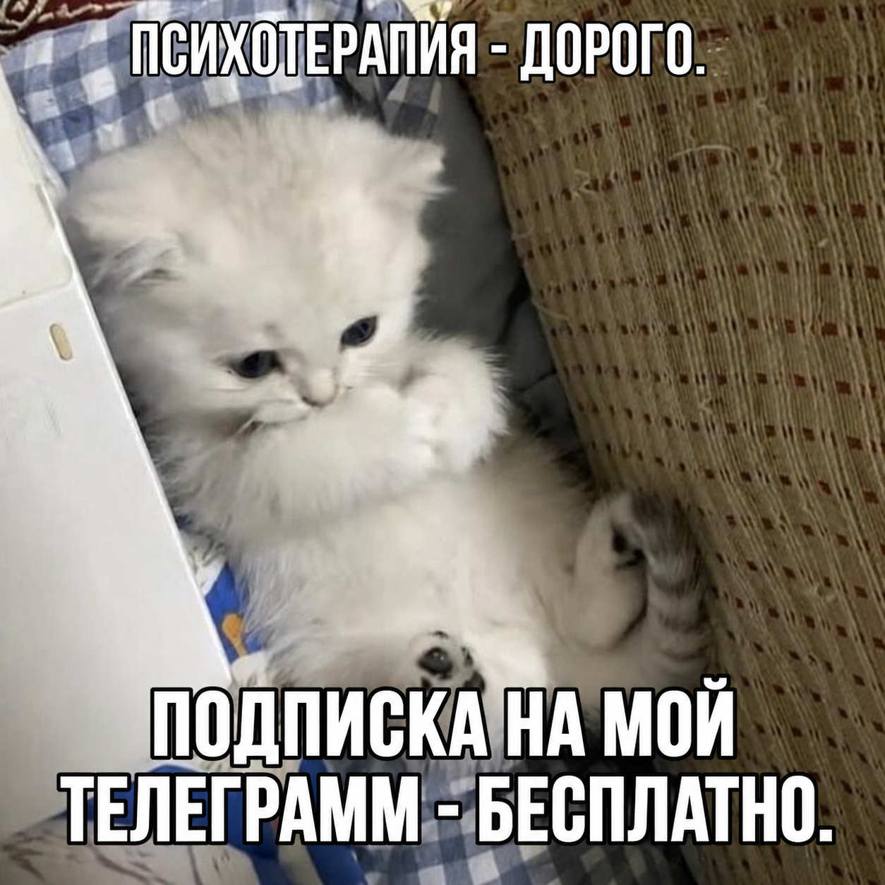 Четыре AI-агента сожгли 40 млн токенов, споря о коде. Я научил их вовремя останавливаться - 9 Четыре AI-агента сожгли 40 млн токенов, споря о коде. Я научил их вовремя останавливаться - 9