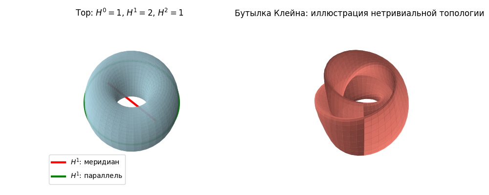 Когомологии на торе и бутылке Клейна. Сгенерировано.