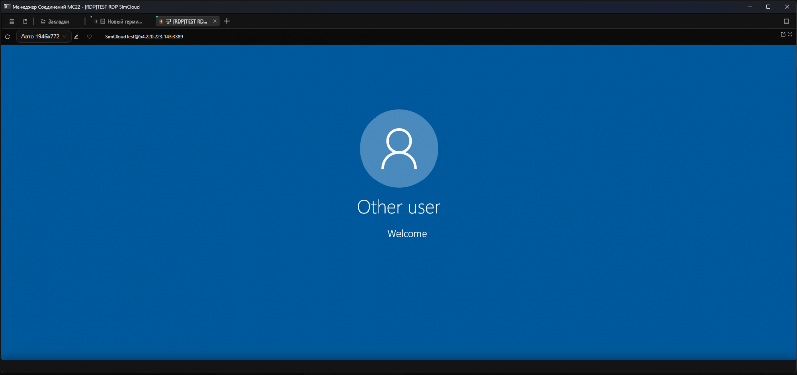 RDP-сессия к Windows Server, открытая вкладкой внутри МС22.