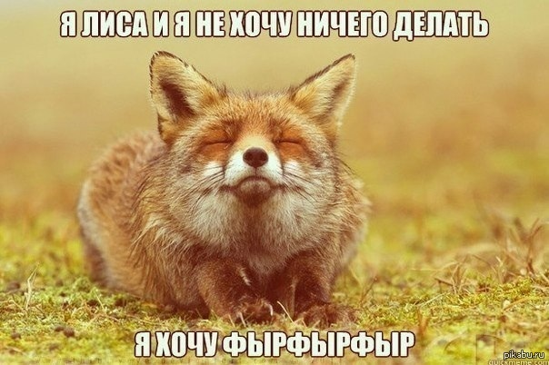 Типичный пользователь библиотеки глазами разработчика библиотеки