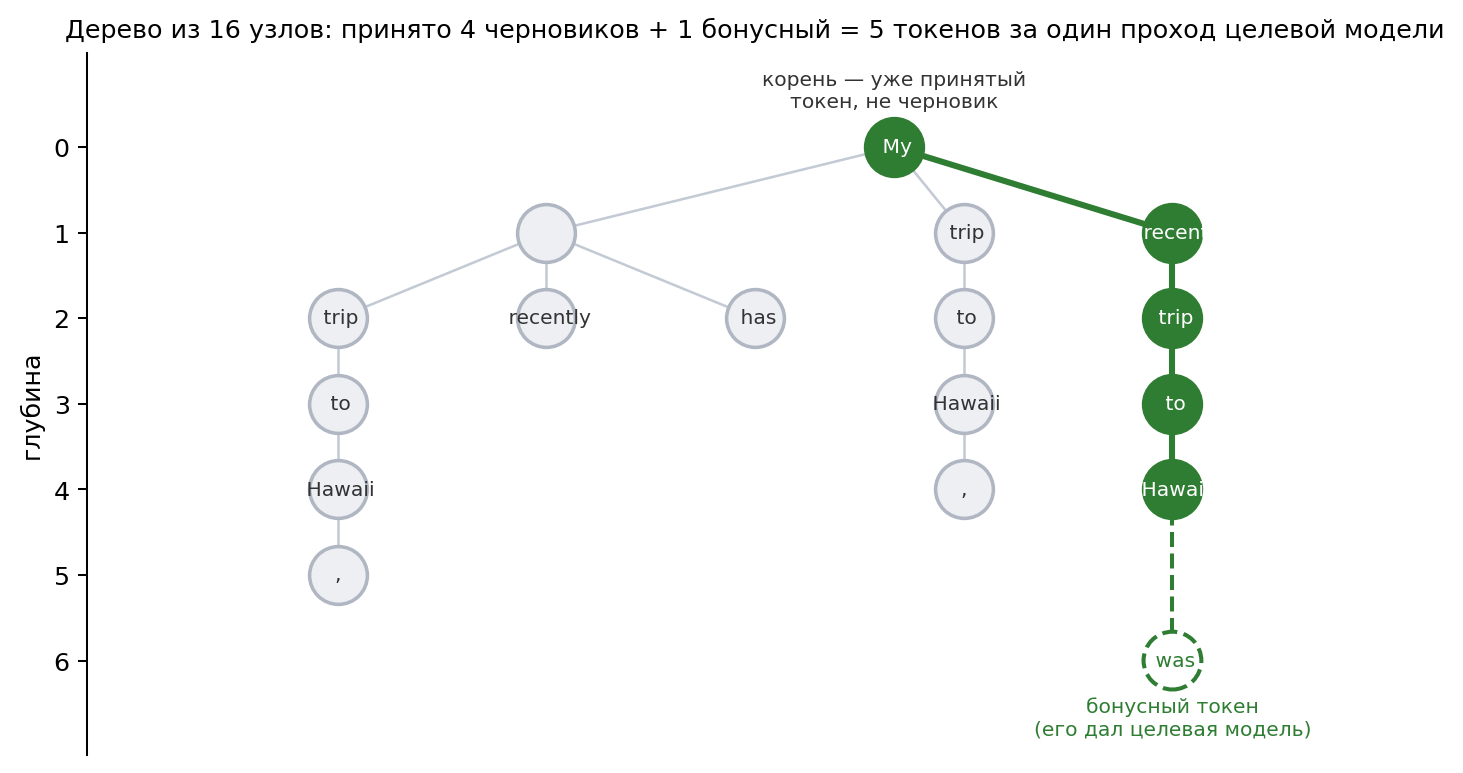 Настоящее дерево черновиков из прогона: зелёным отмечен принятый путь и бонусный токен от целевой модели