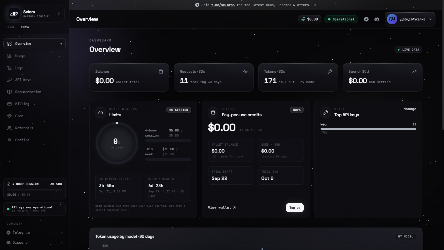 Selora после тестов: 11 API-запросов, лимит $5 на 4 часа и $30 в неделю.