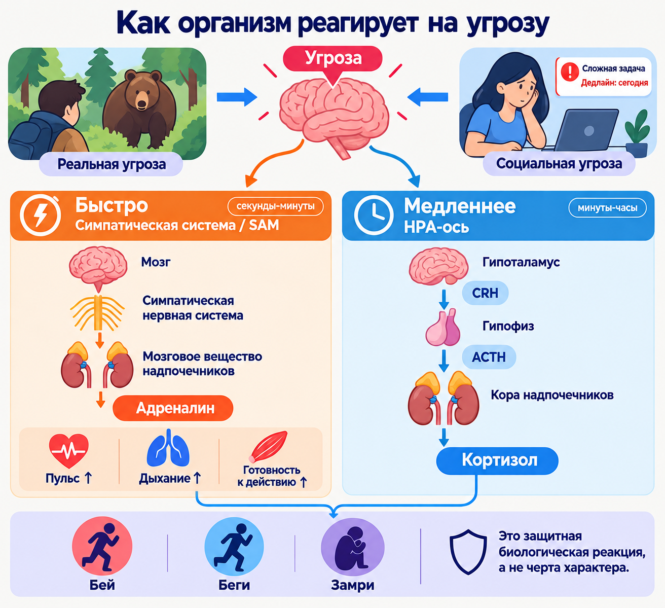 Психологическая броня: как оставаться стрессоустойчивым, если сроки горят - 1 Психологическая броня: как оставаться стрессоустойчивым, если сроки горят - 1
