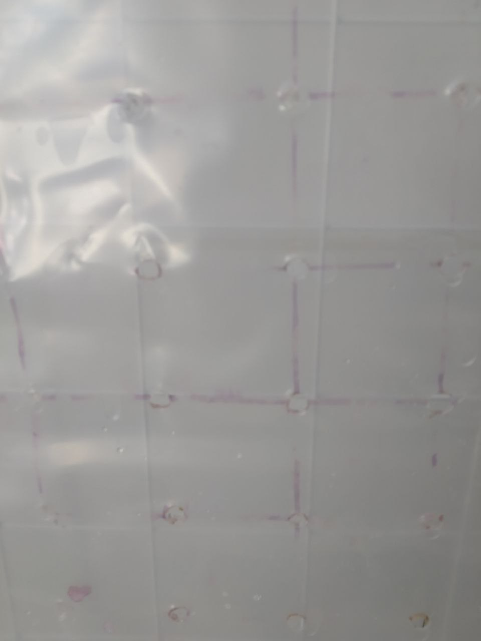 Финальный отчет по проекту фотобиореактора 435nm. Биотехнологическая повесть с картинками - 46 Финальный отчет по проекту фотобиореактора 435nm. Биотехнологическая повесть с картинками - 46