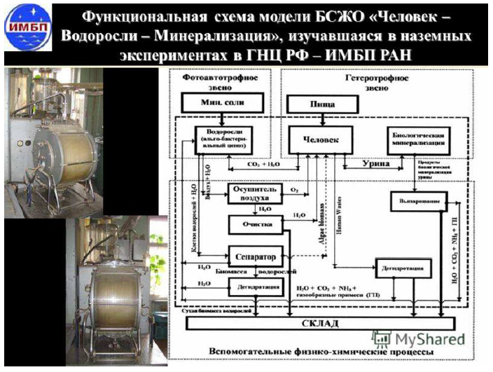 Рисунок - Схема эксперимента с человеком и микроводорослями, проведенного в ИМБП РАН 