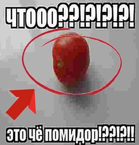Судья не найдёт ответ среди строк, в которых его нет.