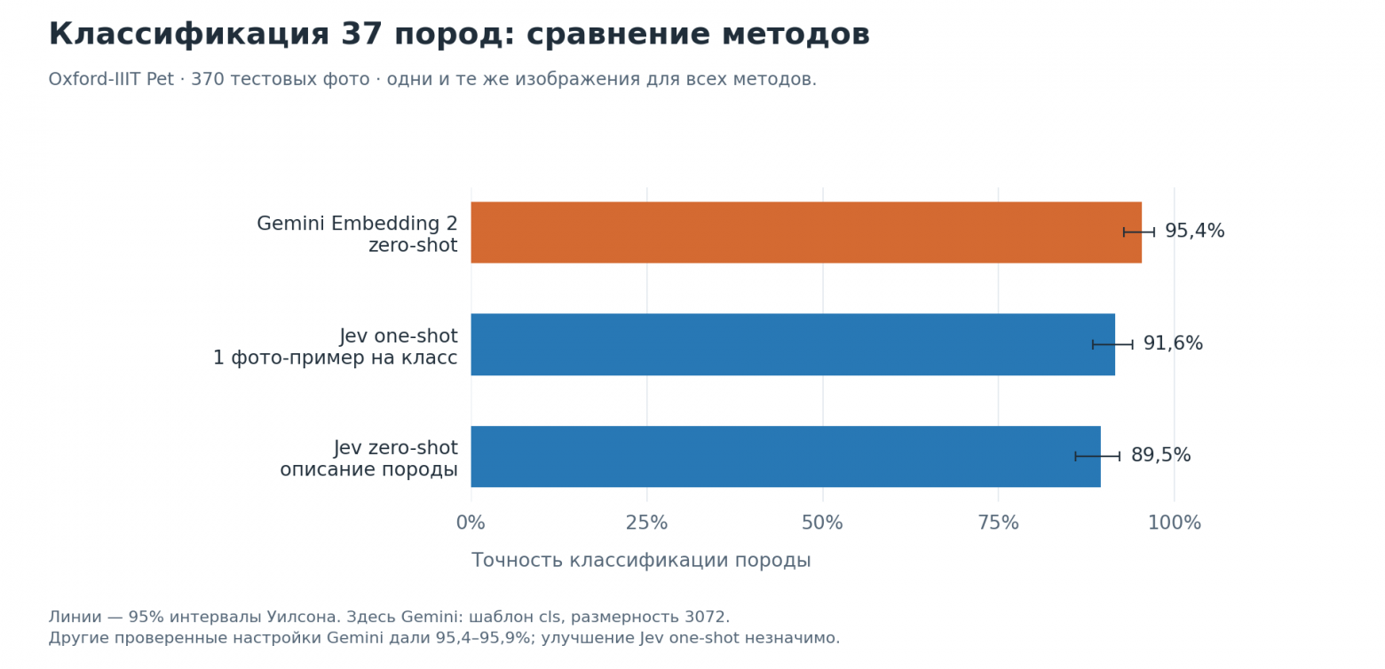 Точность определения породы: Jev и Gemini Embedding 2