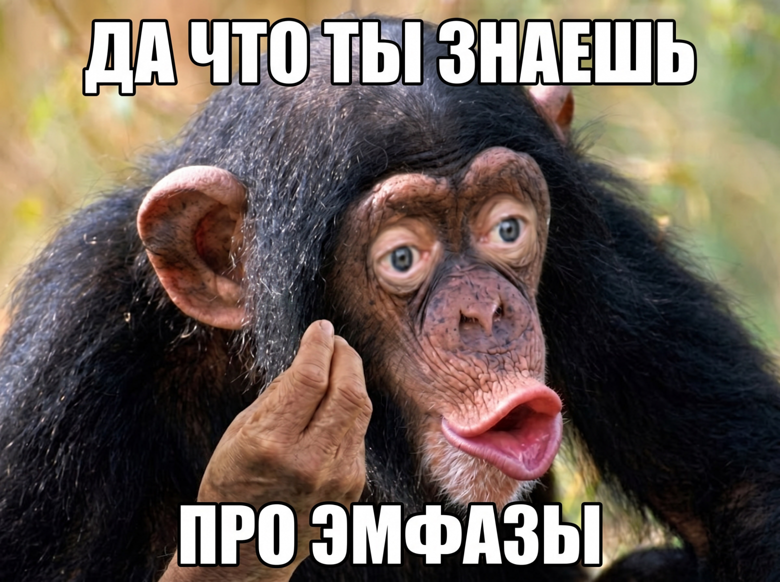Да, я знаю, что этот жест на самом деле в Италии особо не используется и значит другое, но мем сам себя не сделает