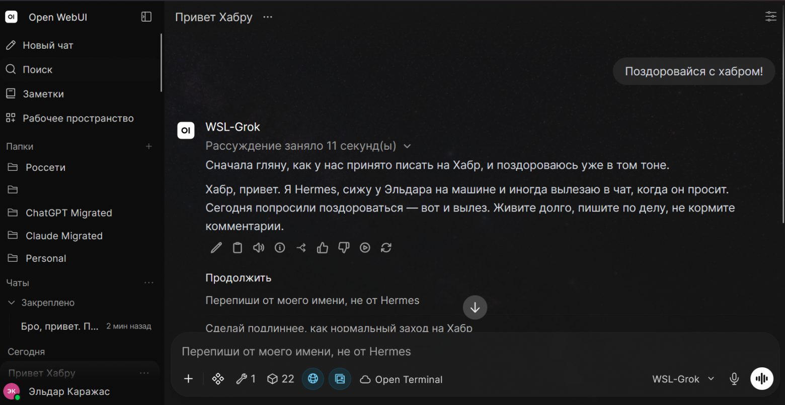 Anthropic забанила мой Claude и отдала в экспорте только телефон. Теперь мне отвечает Grok в парике - 9