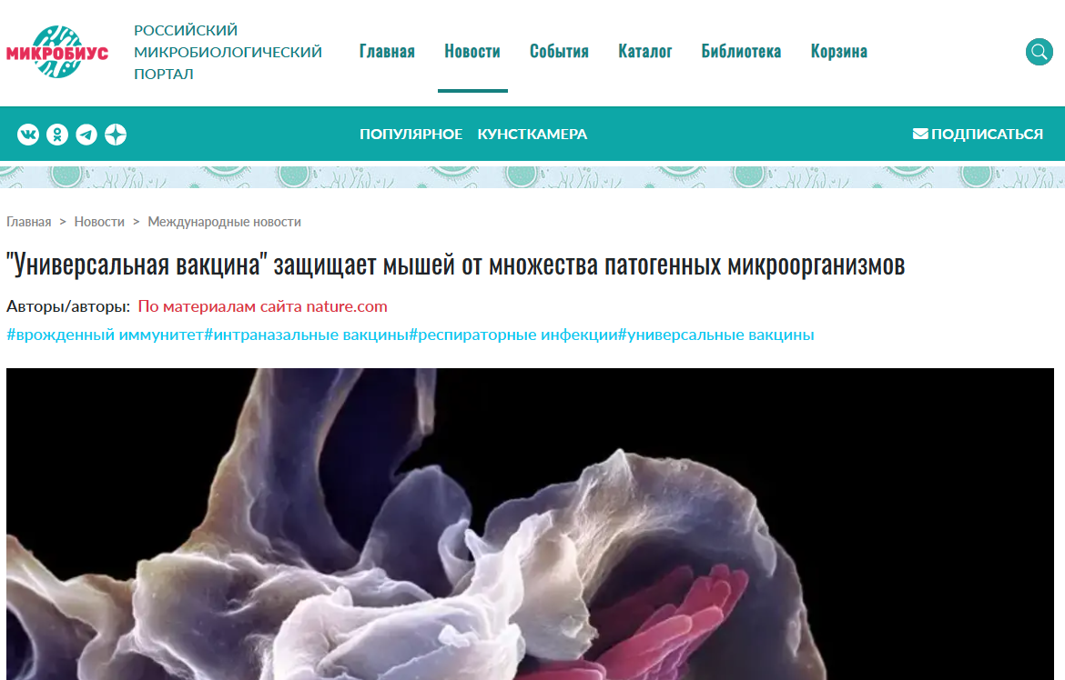 «Универсальная вакцина защищает мышей от множества патогенов»: вымысел или надежда для будущих поколений - 3 «Универсальная вакцина защищает мышей от множества патогенов»: вымысел или надежда для будущих поколений - 3