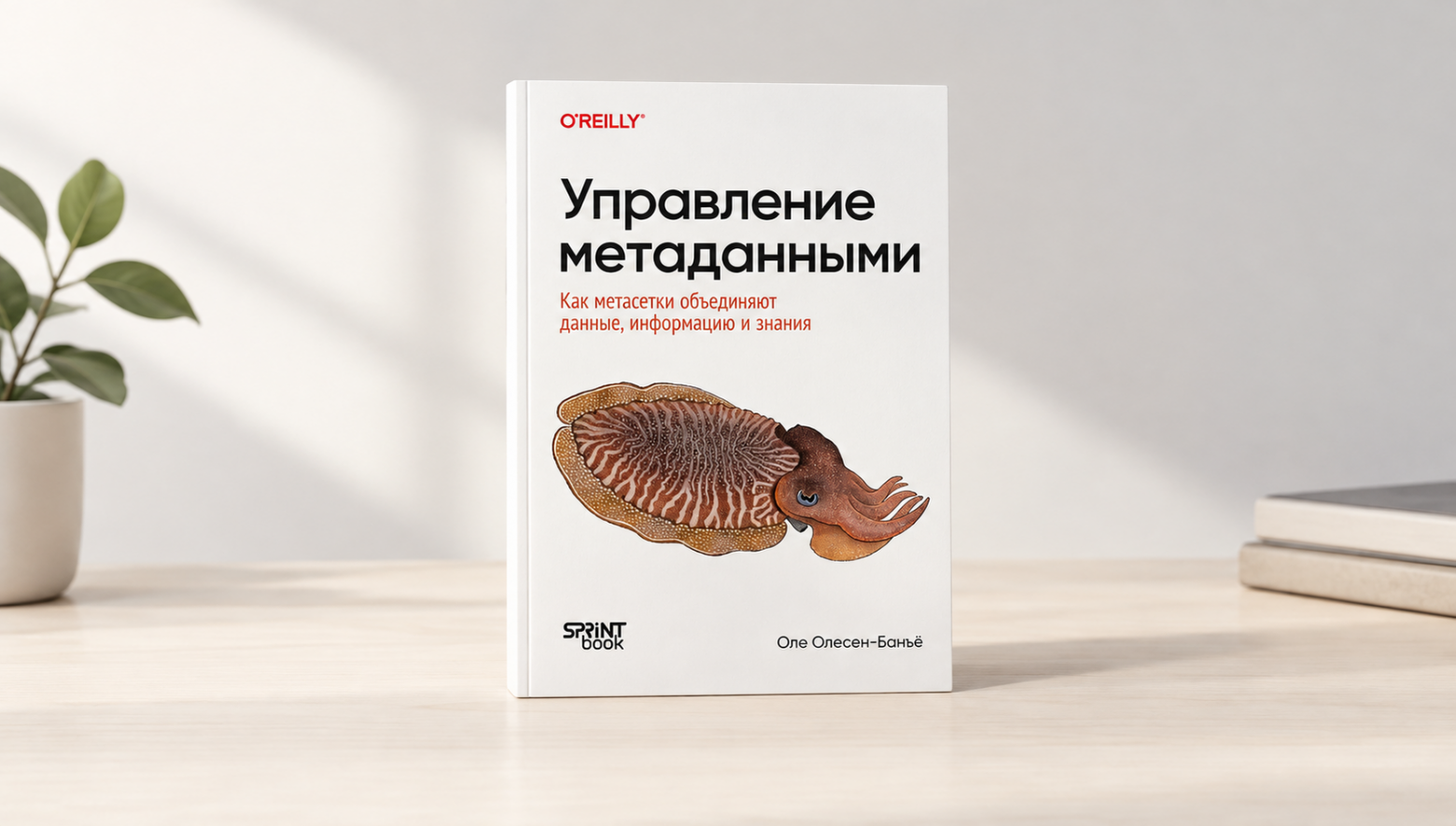 Метаданные есть, а целостной картины ИТ-ландшафта нет: зачем компаниям метасетка - 1 Метаданные есть, а целостной картины ИТ-ландшафта нет: зачем компаниям метасетка - 1
