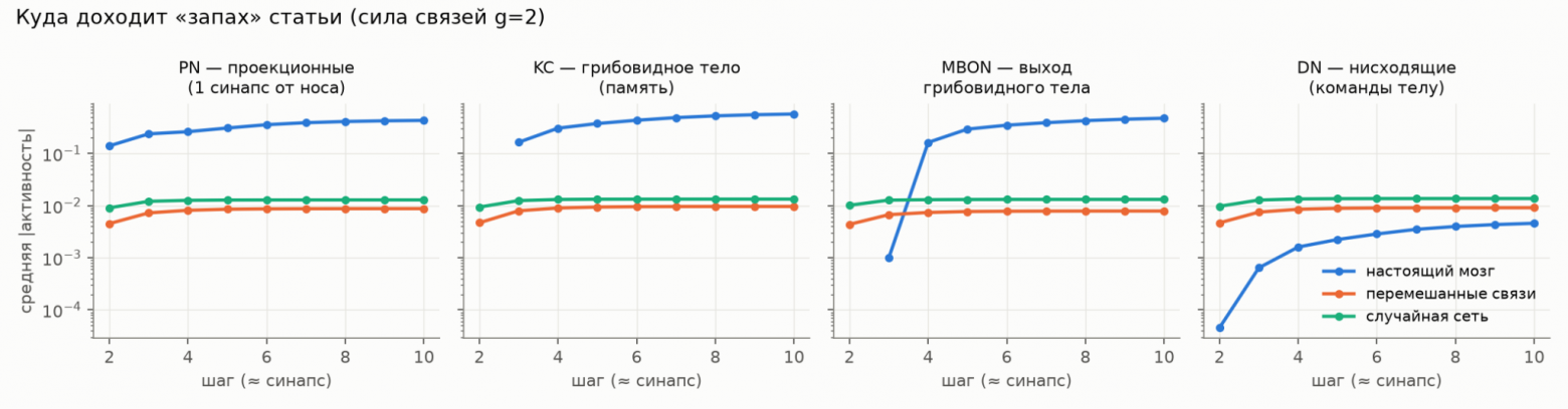 Средняя активность отделов по шагам при средней силе связей. Ось логарифмическая.