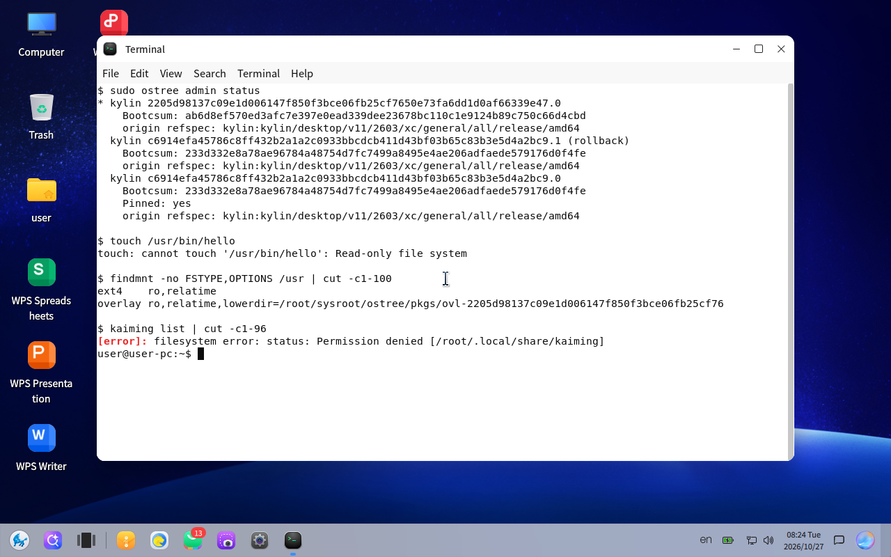 kylin-v11-terminal-ostree