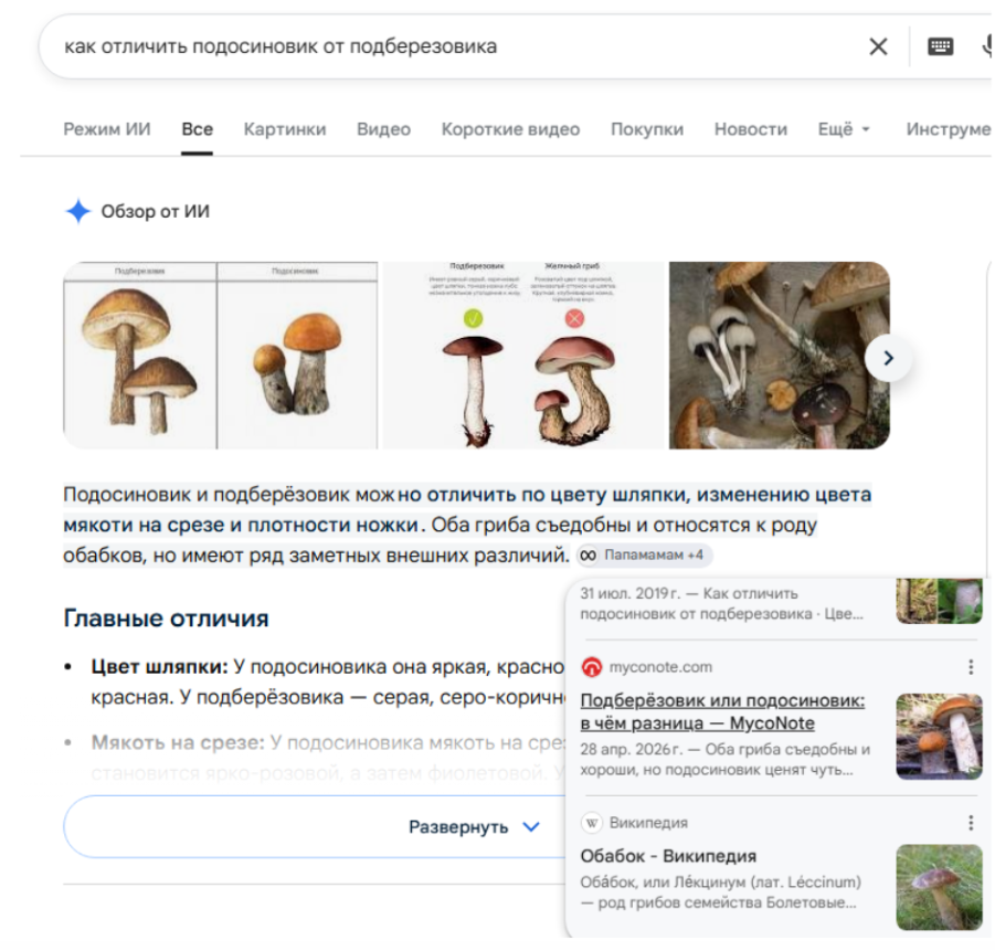 Минус ₽6,5 млн на копирайтинге за полгода: как мы собрали ИИ-редакцию в финтехе и при чём тут грибы - 4
