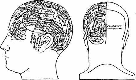 Рис. 5.1. Френологическая карта в духе Галля. (Из: Luria A. R. Higher Cortical Functions in Man. New York: Basic Books, 1966; рус. изд.: Лурия А. P. Высшие корковые функции человека и их нарушения при локальных поражениях мозга. 2-е изд. М.: Изд-во Моск. ун-та, 1969. С. 10.)