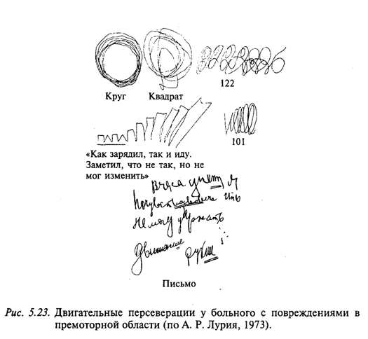Двигательные персервации у больного с повреждениями в премоторной области (по А.Р. Лурия, 1973)