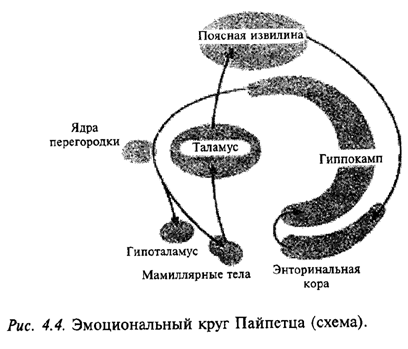 Эмоциональный круг Пайпетца (схема)
