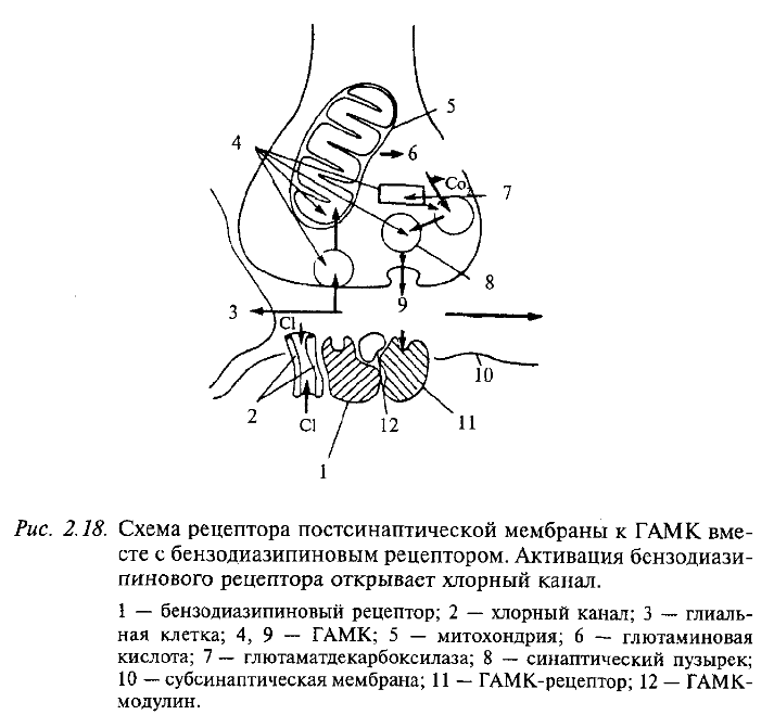 Схема рецептора постсинаптической мембраны к ГАМК вместе с бензодиазипиновым рецептором. Активация бензодиазипинового рецептора открывает хлорный канал