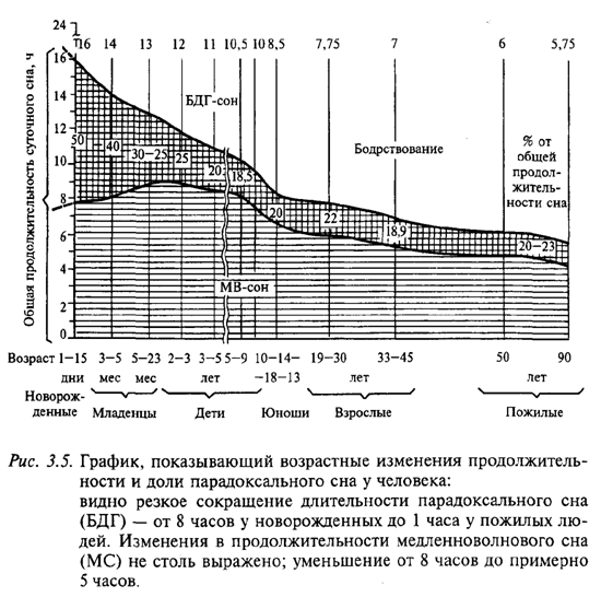 Возрастные изменения продолжительности и доли парадоксального сна у человека